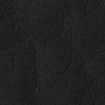 Charcoal