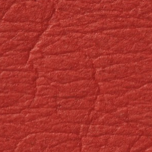 Paprika