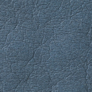 Washed Indigo