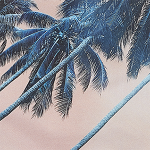 Palms