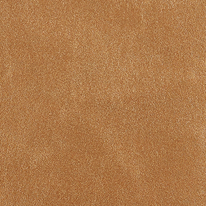 Bronzo