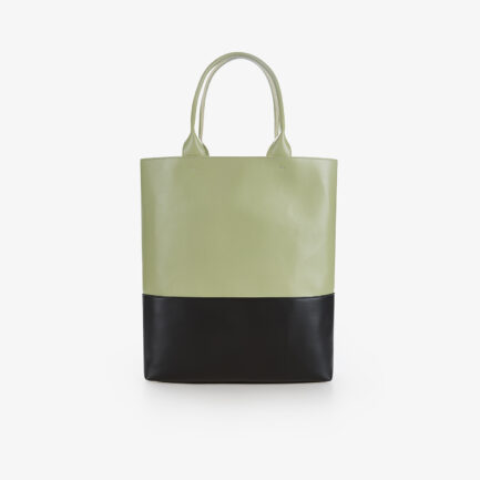 shopping bag_apple